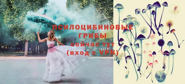 дурь Богданович