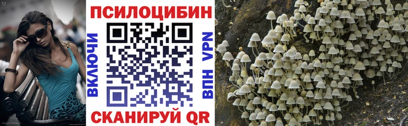 Галлюциногенные грибы ЛСД Яровое